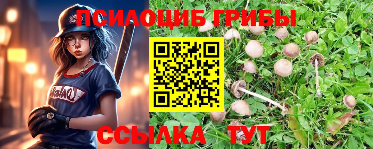 Иркутск  Галлюциногенные грибы Psilocybe  Вход с VPN 