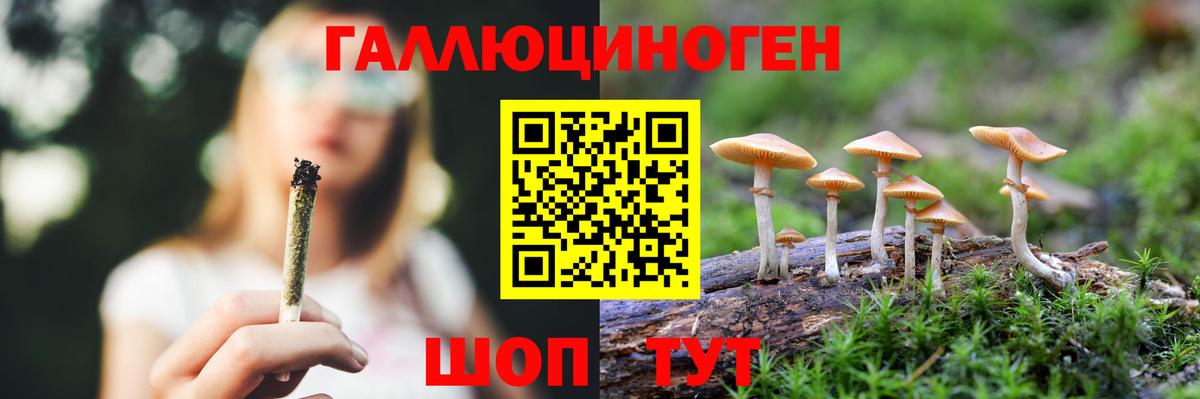 Псилоцибиновые грибы мухоморы Иркутск